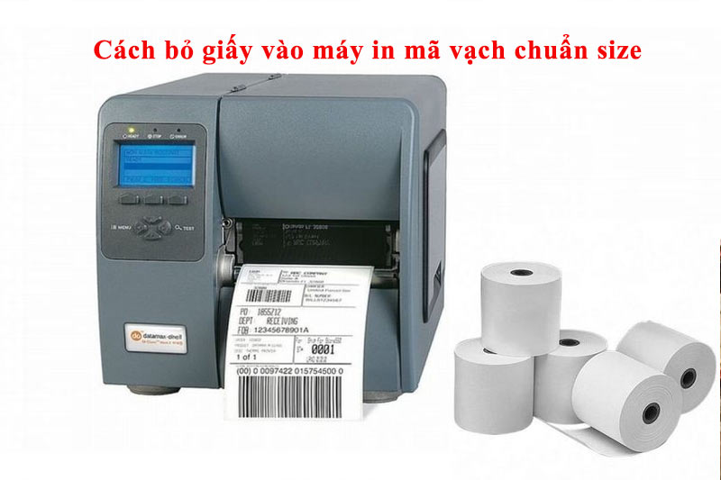 Cách bỏ giấy vào máy in mã vạch