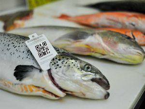 Mã vạch ngành thuỷ sản